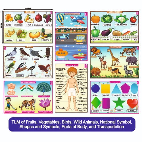 TLM Combo- Fruits, Vegetables, Animals, Birds, National Symbols, Shapes and Symbols Transportation, Parts of Body - EKW0145