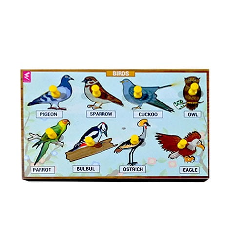 TLM Combo- Fruits, Vegetables, Animals, Birds, National Symbols, Shapes and Symbols Transportation, Parts of Body - EKW0145