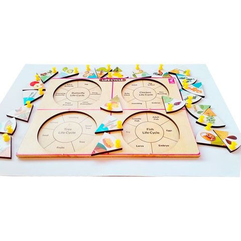 Life Cycle Inside Peg Board Puzzle -12*9 inch - EKW0149