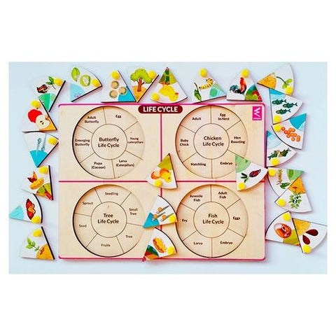 Life Cycle Inside Peg Board Puzzle -12*9 inch - EKW0149