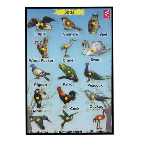 Wooden Birds Learning Educational Knob tray-12*18 inch - EKW0170