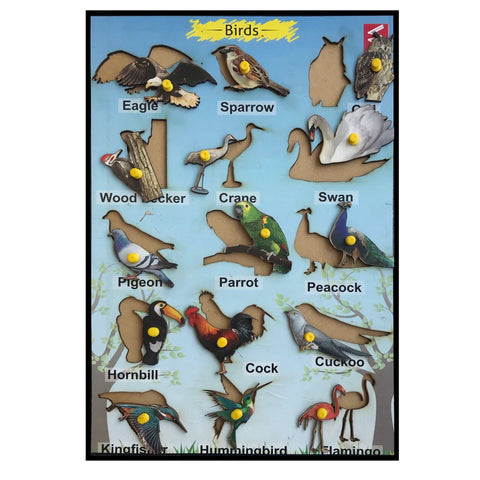 Wooden Birds Learning Educational Knob tray-12*18 inch - EKW0170