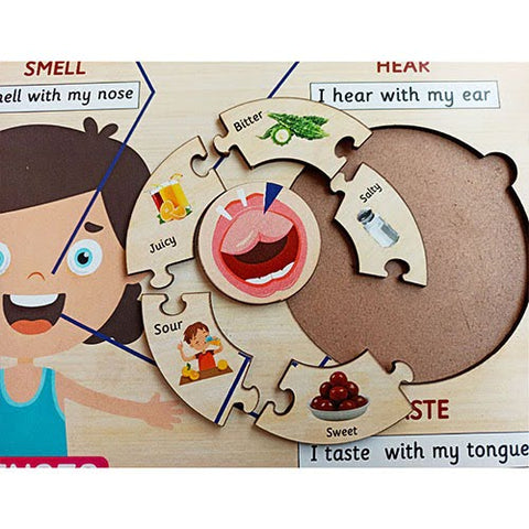 Five Senses Learning Puzzle - 12*18 inch - EKW0172