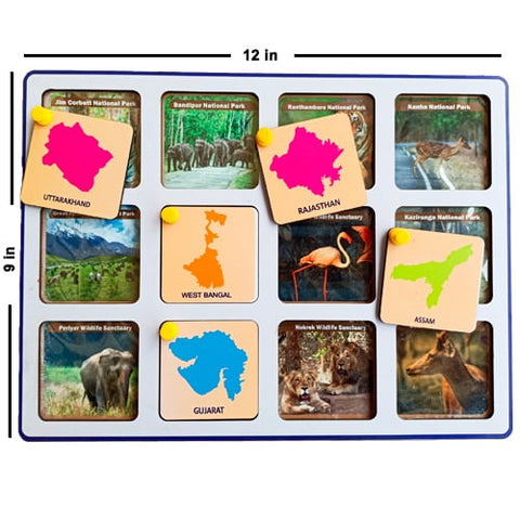 India Explore Activity Game - EKW0177