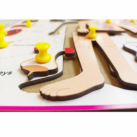 Extrokids wooden Internal organ of body-Puzzle board - EKW0183
