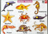 Extrokids sea animal learning- puzzle board - EKW0188