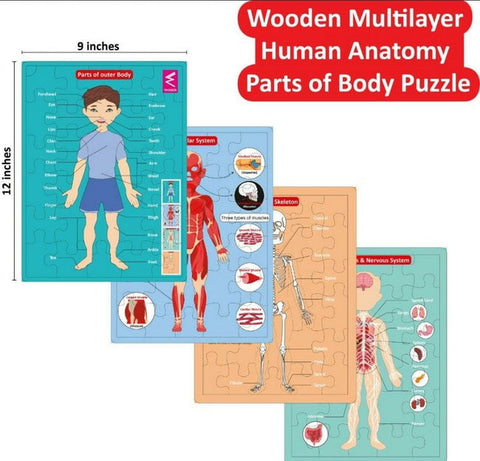 Extrokids wooden human anatomy body parts Layer puzzle - EKW0198
