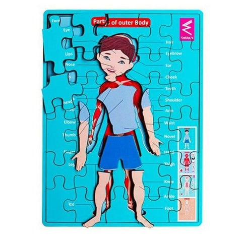 Extrokids wooden human anatomy body parts Layer puzzle - EKW0198
