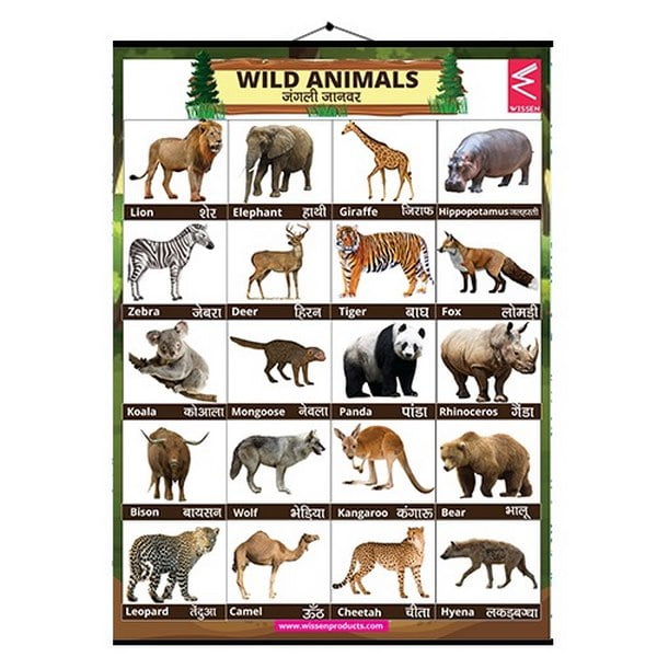 Wall Charts Small 37x50 Wild Animal - EKW0228