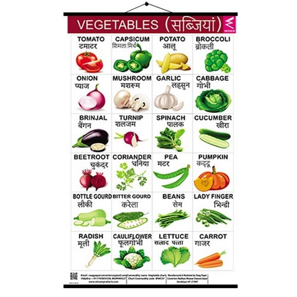 Wall Charts Small 37x50 Vegetable - EKW0229