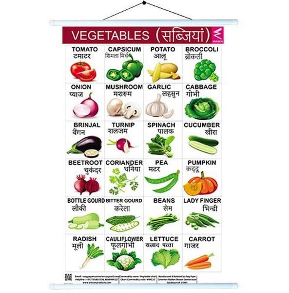 Wall Charts big 58x90 cm Vegetables - EKW0234