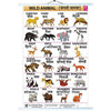 Wall Charts big 58x90 cm Wild animals - EKW0235