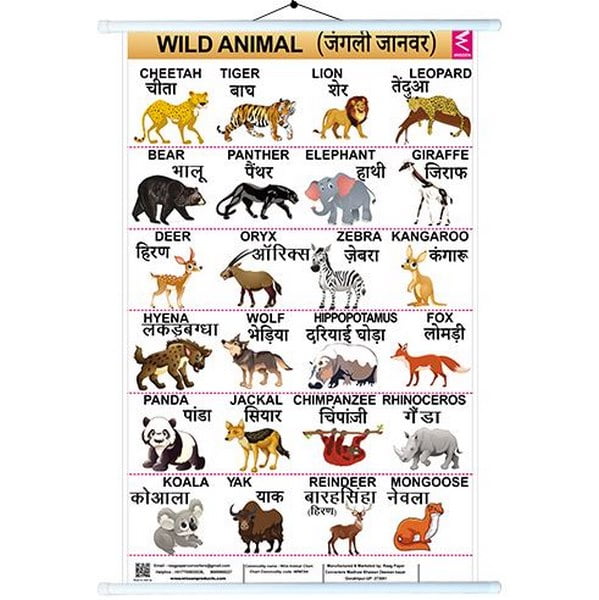Wall Charts big 58x90 cm Wild animals - EKW0235