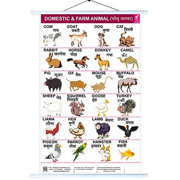 Wall Charts big 58x90 cm Domestic& farm animals - EKW0237