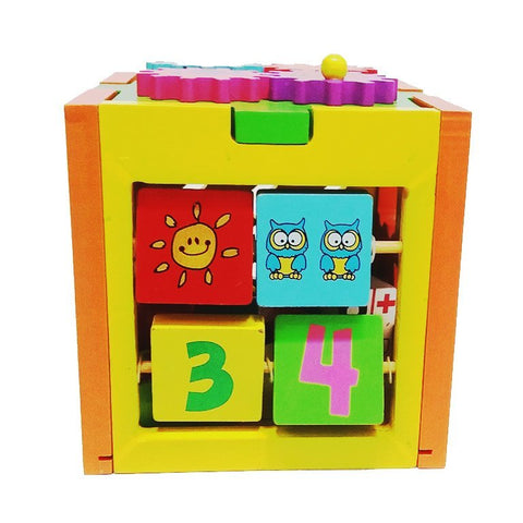 Multifunctional Advanced Shape Sorter - EKT0107